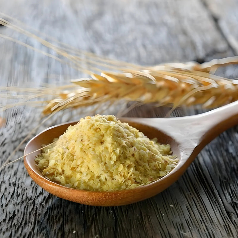 Хранителна мая