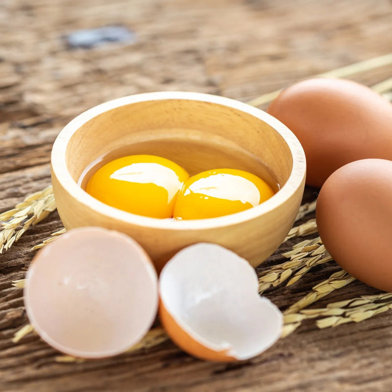 Яйчен протеин